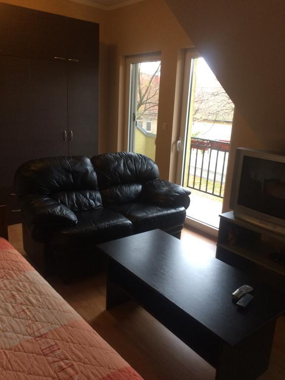 Aleksandar Apartment Pančevo Buitenkant foto