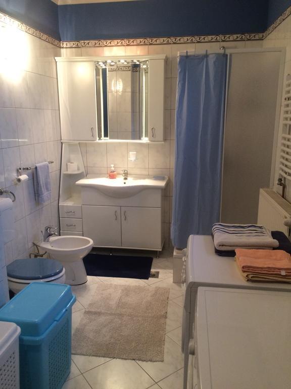 Aleksandar Apartment Pančevo Buitenkant foto